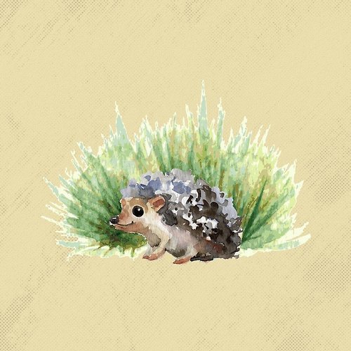 프로필 이미지