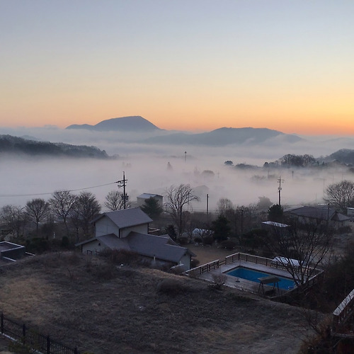 프로필