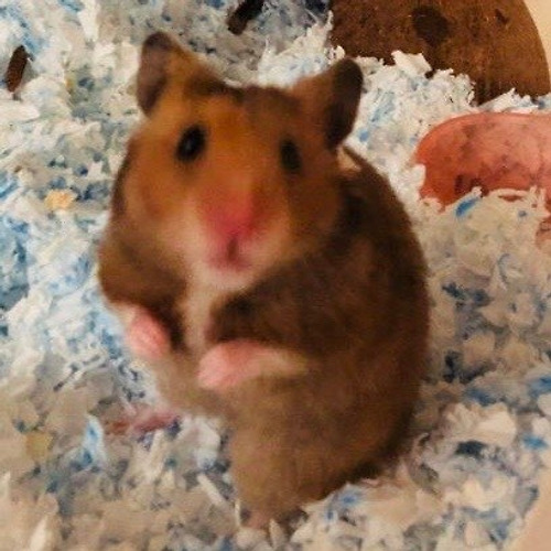 프로필 이미지