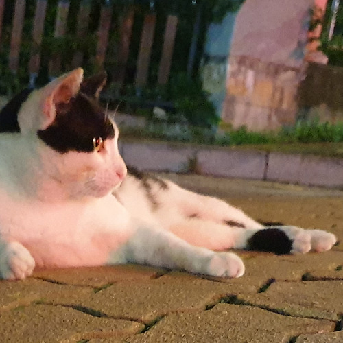 프로필 이미지