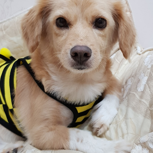 프로필 이미지