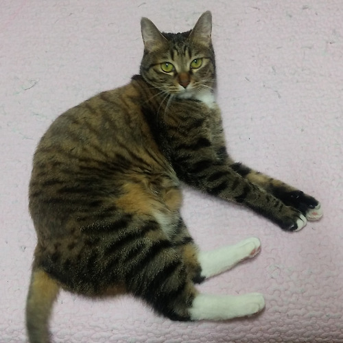 프로필 이미지