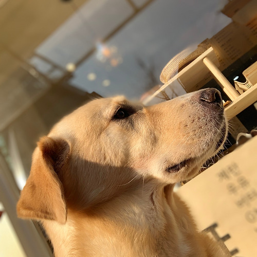 프로필 이미지