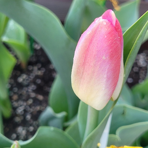 프로필 이미지