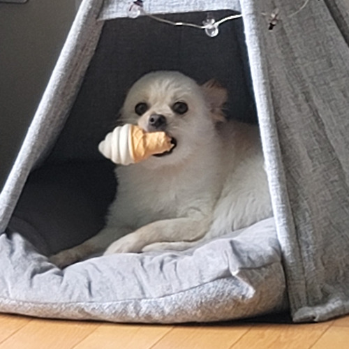 프로필 이미지