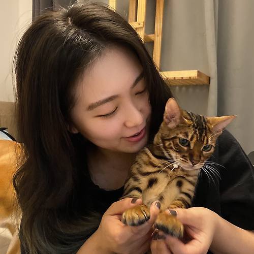 프로필 이미지