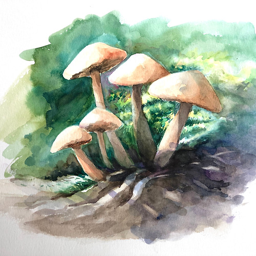 프로필 이미지