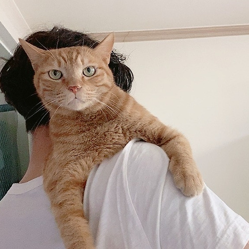 프로필 이미지