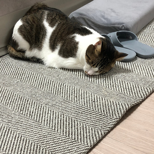 프로필 이미지