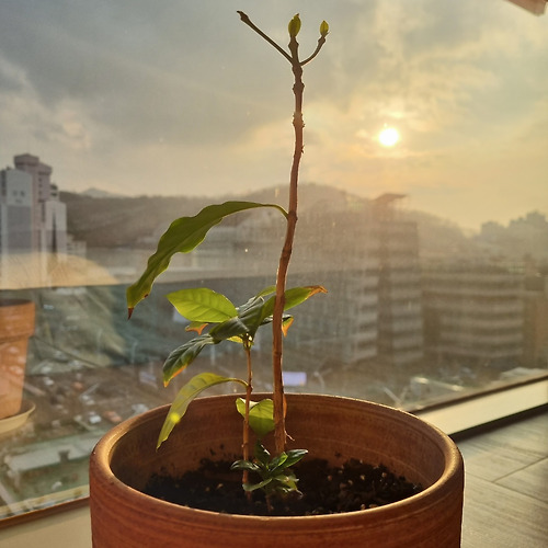 프로필 이미지