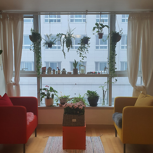 프로필 이미지