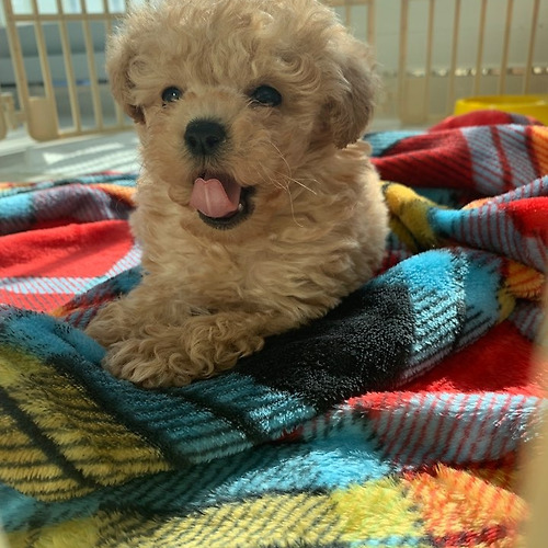 프로필 이미지