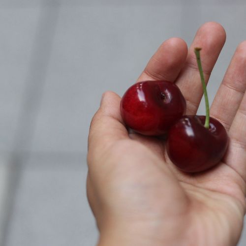 프로필 이미지