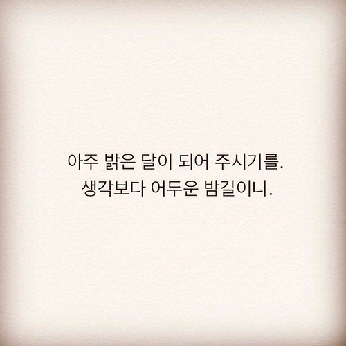 프로필