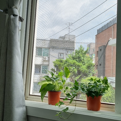 프로필 이미지