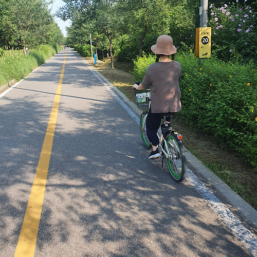 프로필