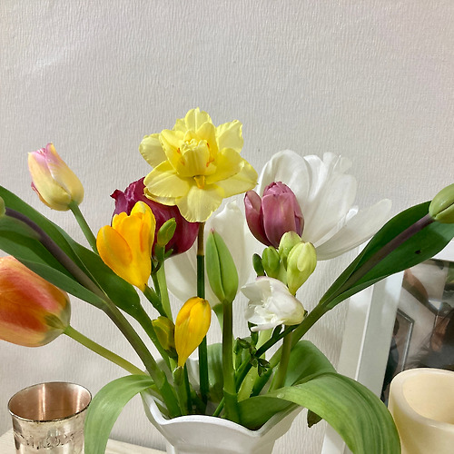 프로필 이미지