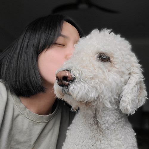 프로필 이미지