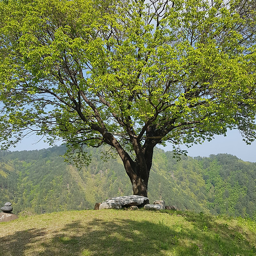 프로필 이미지