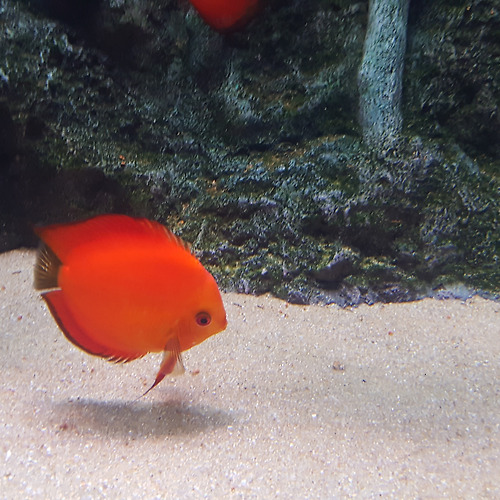 프로필 이미지