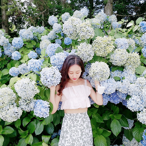 프로필