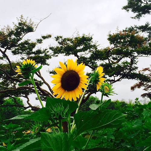 프로필 이미지