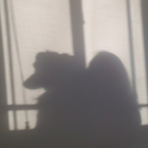 프로필 이미지