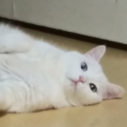 프로필 이미지