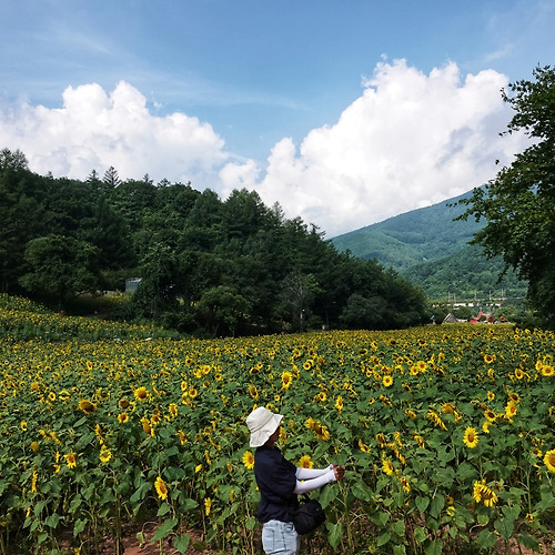 프로필 이미지