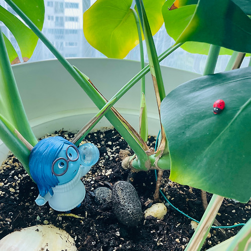 프로필 이미지
