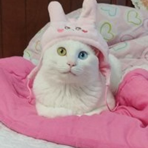 프로필 이미지