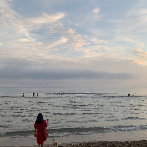 프로필 이미지