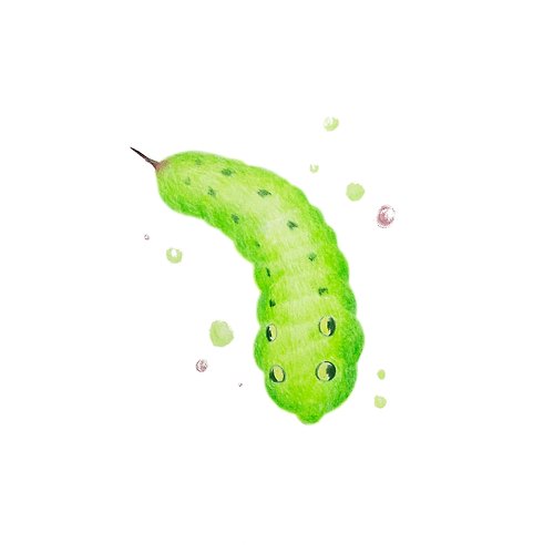 프로필 이미지