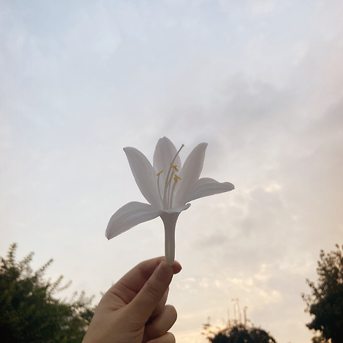 프로필 이미지