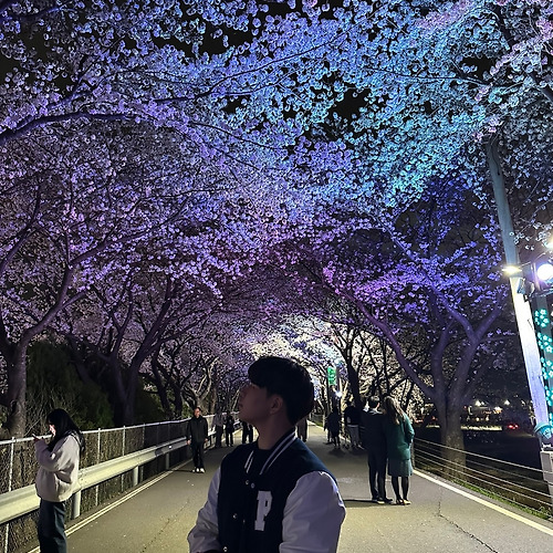 프로필