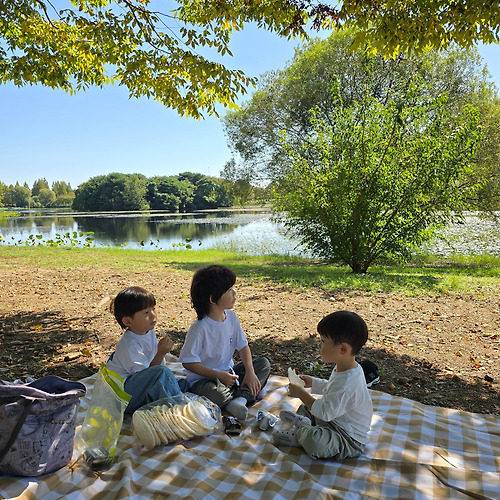 프로필 이미지