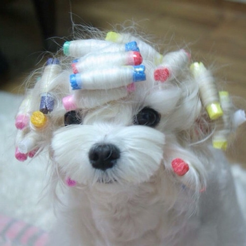프로필 이미지