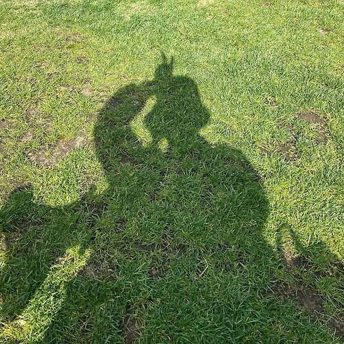 프로필 이미지