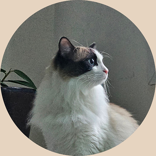 프로필 이미지