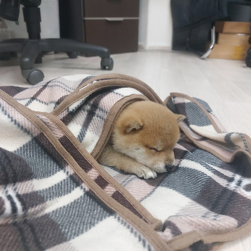 프로필 이미지
