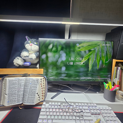 프로필