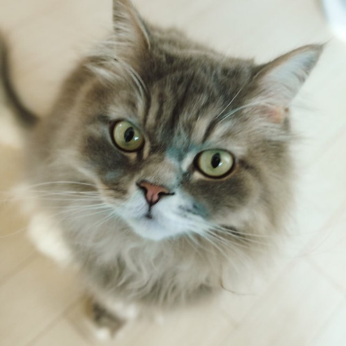 프로필 이미지