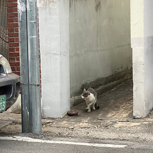 프로필