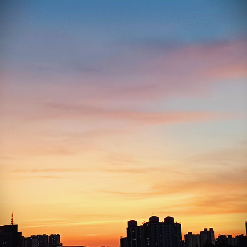 프로필