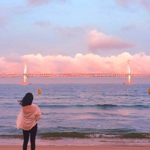 프로필
