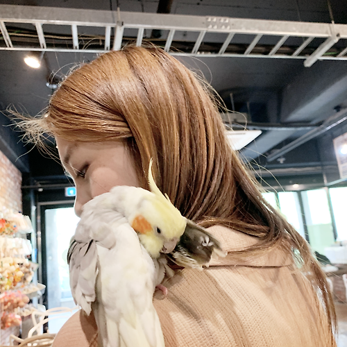 프로필 이미지