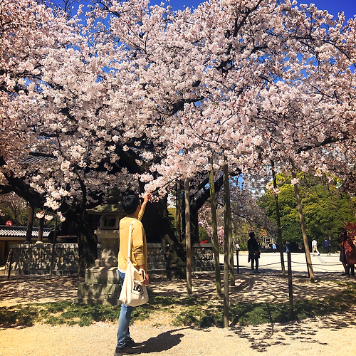 프로필 이미지