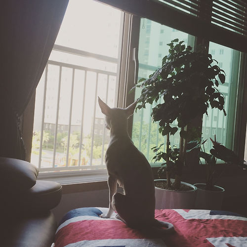 프로필