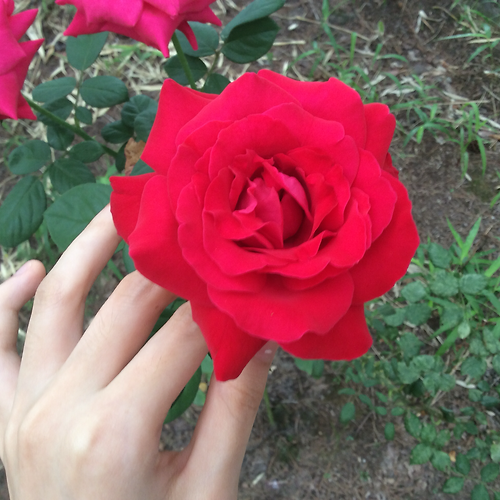 프로필 이미지