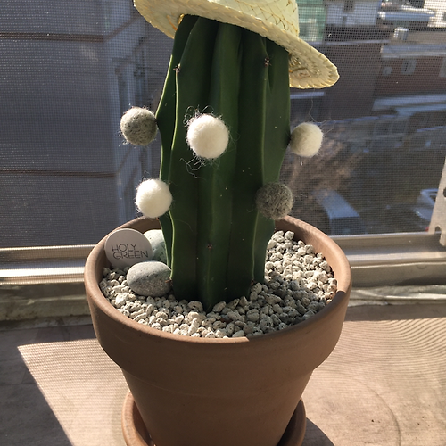 프로필 이미지